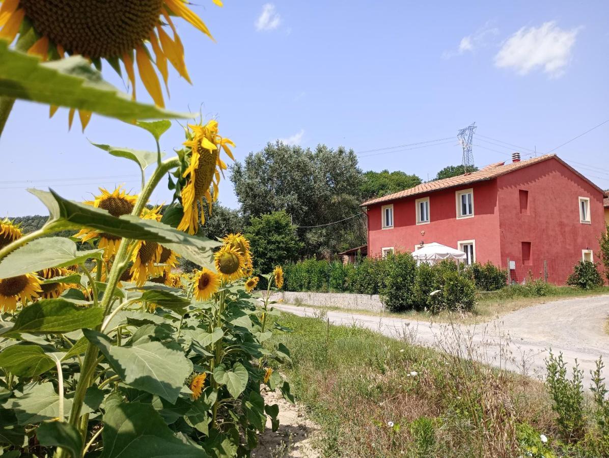 La Casa Rossa Bed & Breakfast Coiano Ngoại thất bức ảnh